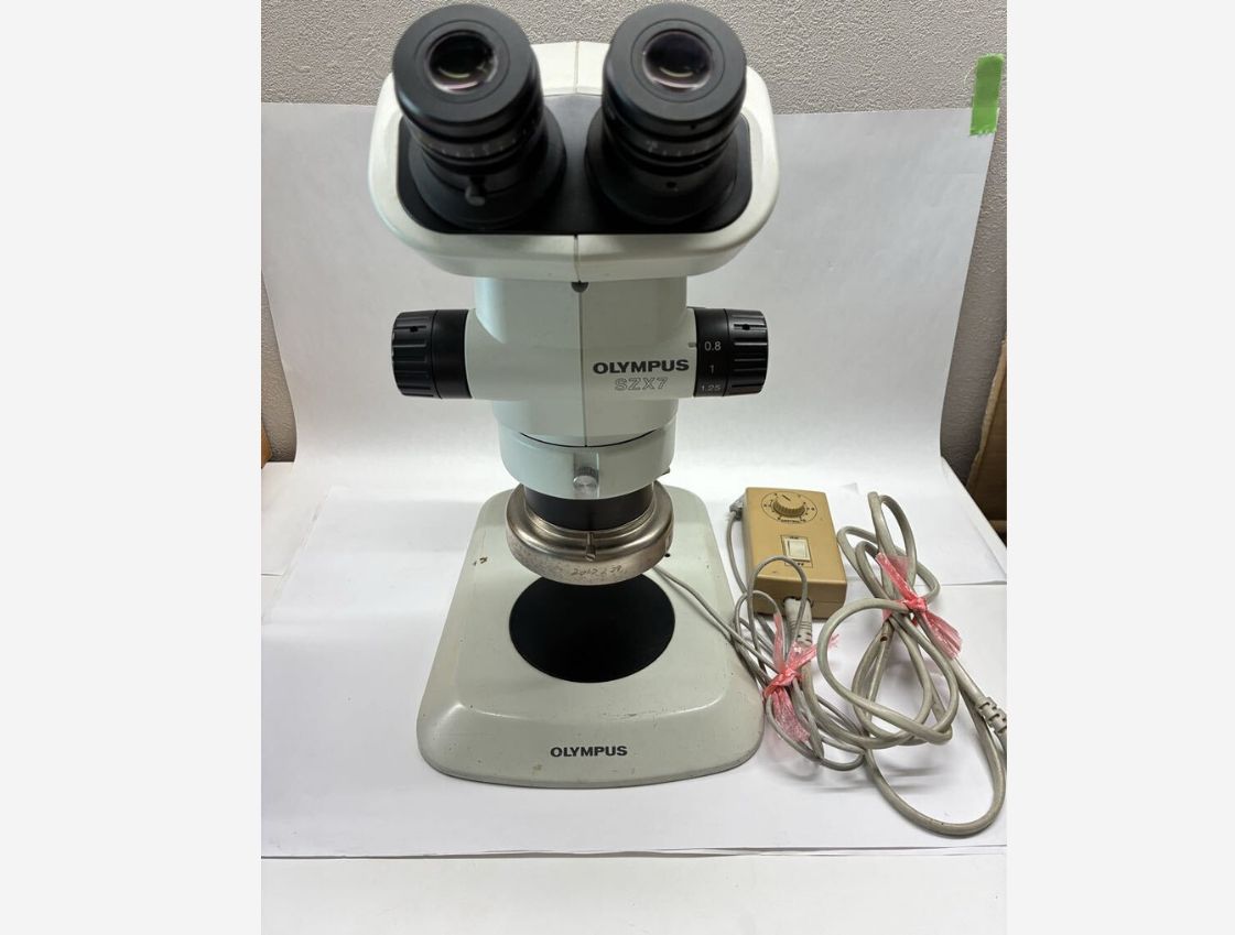 Stereo Microscope